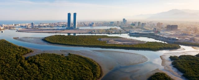 blog_cities/Sell-Your-Car-in-Al-Dhait-South-Ras-Al-Khaimah.jpg