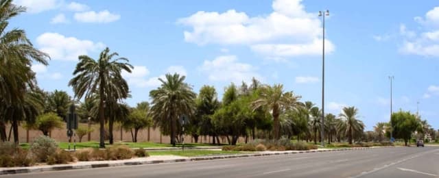 blog_cities/Sell-Your-Old-Scrap-Cars-in-Al-Khibeesi-Al-Ain.jpg